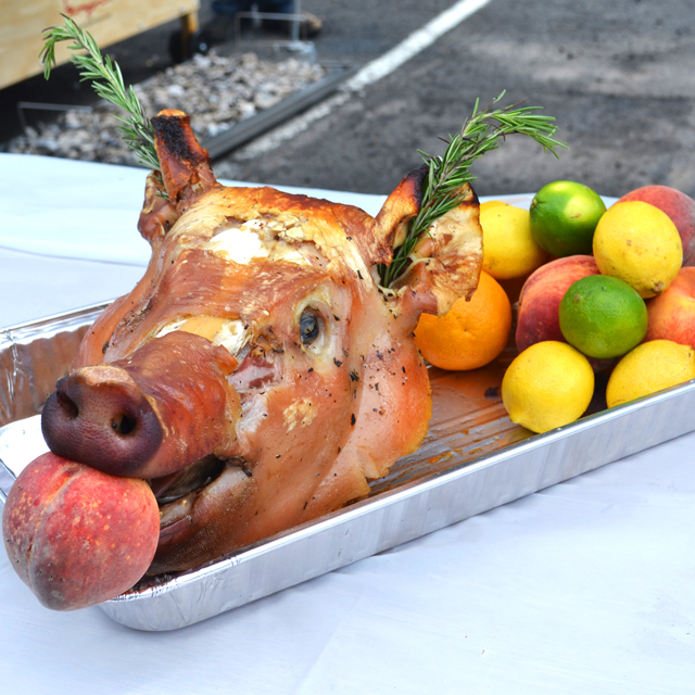 Roasted pig head at the first annual pig roast for Osteria Morini