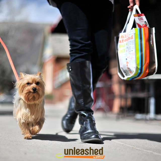 Person walking in boots with Yorkie dog