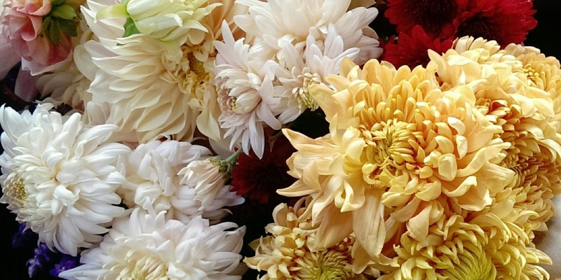 Fresh flowers