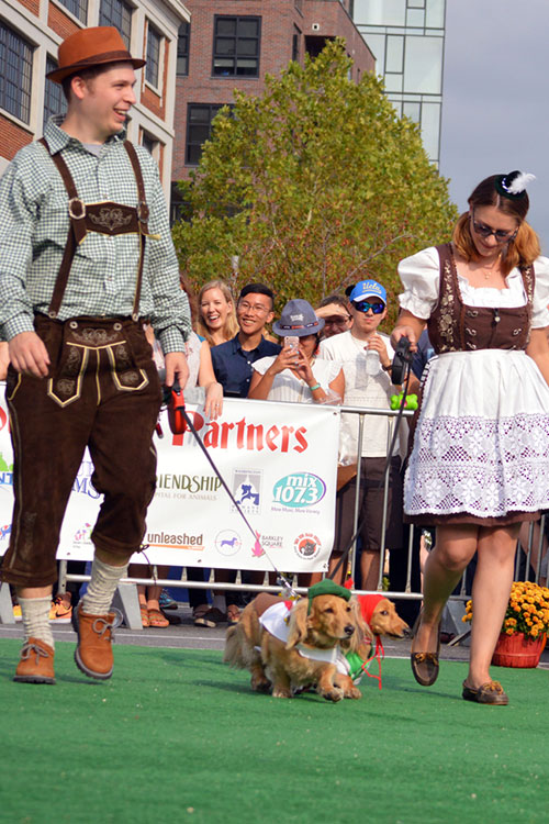 Outdoor Oktoberfest Celebration with dog events