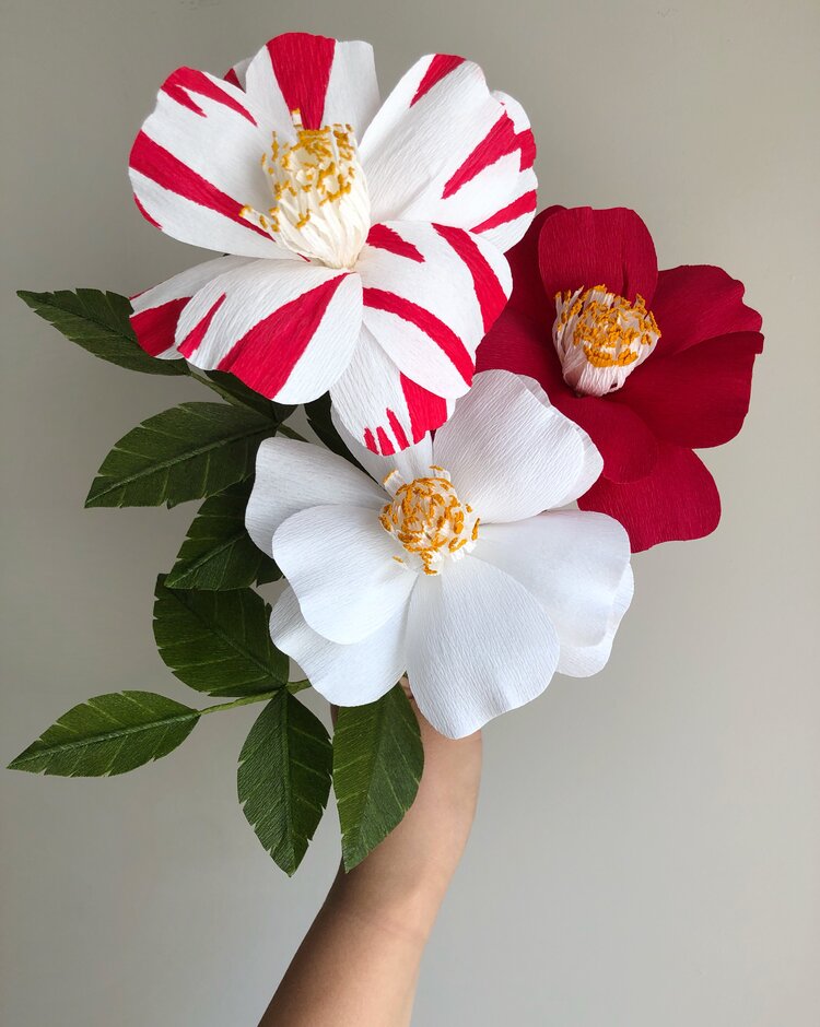 HOLIDAY CAMELLIAS PAPER FLOWER WORKSHOP