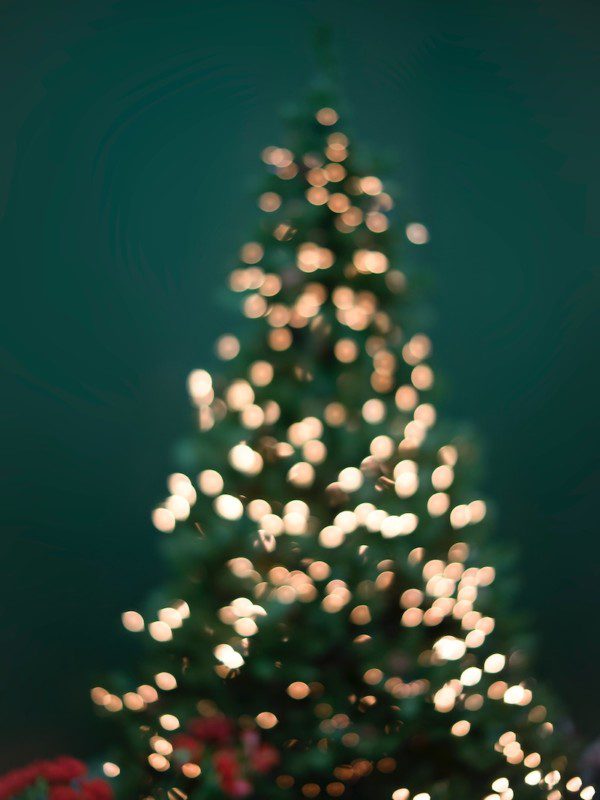Christmas Tree with lights on green backdrop